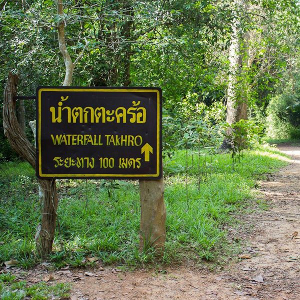 content-image-1.jpg