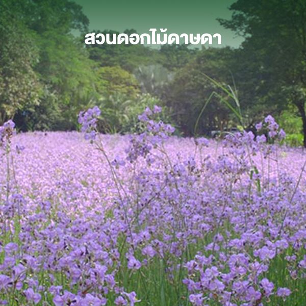 content-image-1.jpg