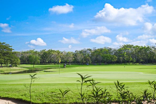 1 person golf course grass and nature-2 1 person golf course grass and nature-2