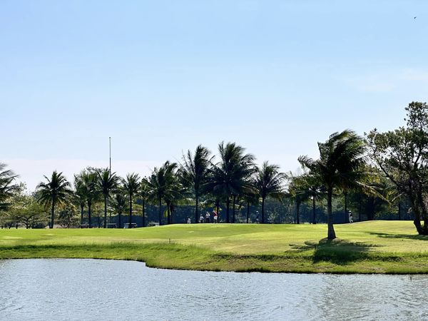 สนามกอล์ฟ กบินทร์บุรี สปอร์ตคลับ Kbsc grass palm trees sky nature and golf course สนามกอล์ฟ กบินทร์บุรี สปอร์ตคลับ Kbsc grass palm trees sky nature and golf course
