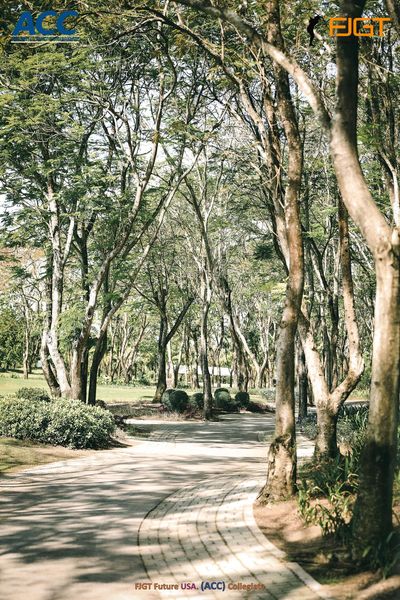 สนามกอล์ฟ กบินทร์บุรี สปอร์ตคลับ Kbsc tree nature and FGT FIGT Future USA ACC colleglat สนามกอล์ฟ กบินทร์บุรี สปอร์ตคลับ Kbsc tree nature and FGT FIGT Future USA ACC colleglat