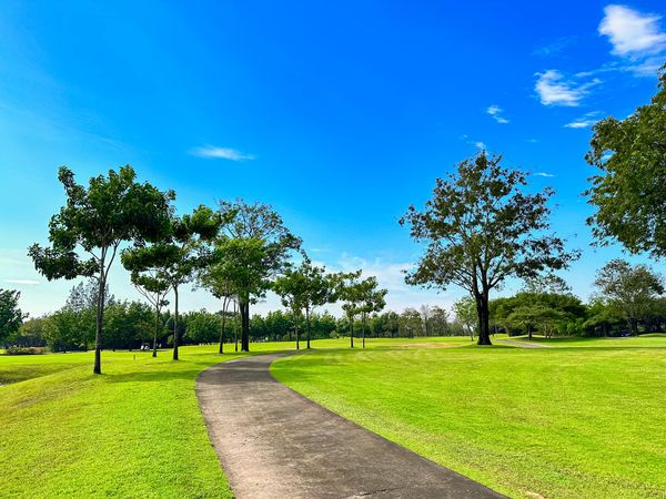 สนามกอล์ฟ กบินทร์บุรี สปอร์ตคลับ Kbsc grass tree nature and golf course
