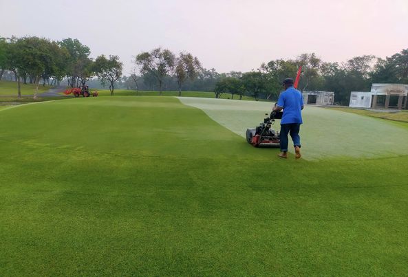 Northern Rangsit Golf Club 1 person and grass