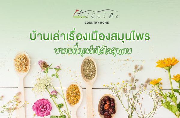 Hillside Country Home text