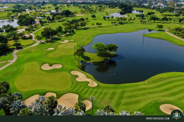 nature grass and golf course nature grass and golf course