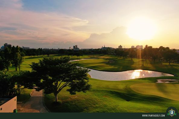 grass nature tree golf course and sky grass nature tree golf course and sky