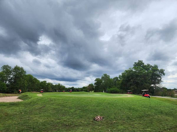331 Golf Club 1 person nature golf course and grass 331 Golf Club 1 person nature golf course and grass