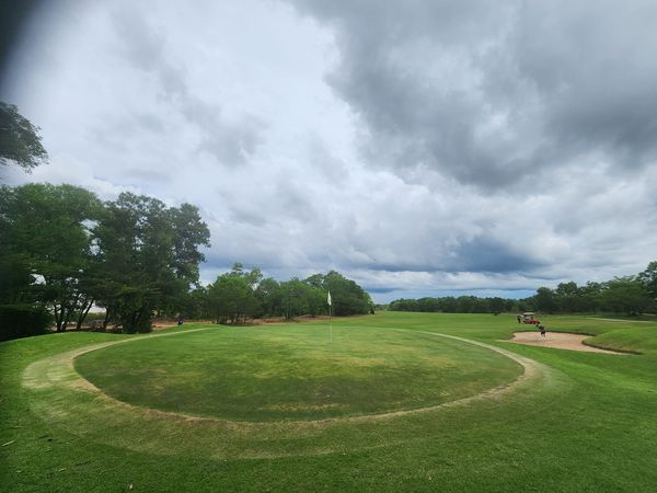 331 Golf Club grass golf course and nature 331 Golf Club grass golf course and nature