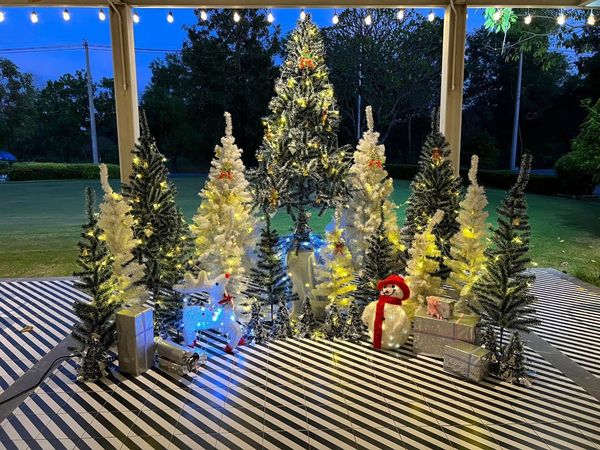 สนามกอล์ฟไดนาสตี้ แอนด์ คันทรีคลับ Dynasty Golf amp Country Club christmas tree and indoor สนามกอล์ฟไดนาสตี้ แอนด์ คันทรีคลับ Dynasty Golf amp Country Club christmas tree and indoor