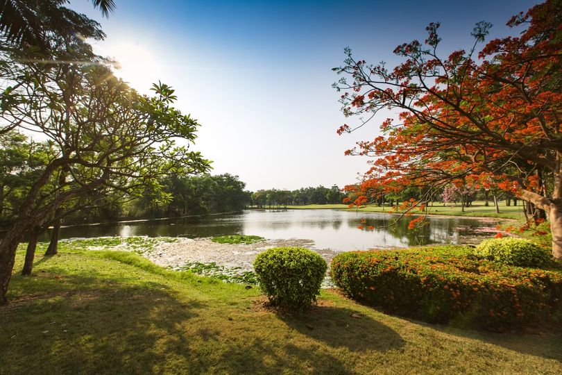 สนามกอล์ฟไดนาสตี้ แอนด์ คันทรีคลับ Dynasty Golf amp Country Club tree nature and lake สนามกอล์ฟไดนาสตี้ แอนด์ คันทรีคลับ Dynasty Golf amp Country Club tree nature and lake