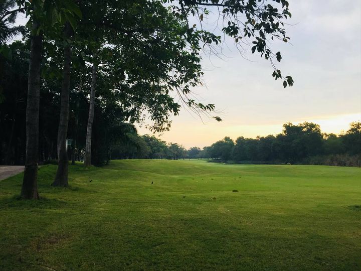 สนามกอล์ฟไดนาสตี้ แอนด์ คันทรีคลับ Dynasty Golf amp Country Club ต้นไม้ พื้นหญ้า สนามกอล์ฟ และ ธรรมชาติ สนามกอล์ฟไดนาสตี้ แอนด์ คันทรีคลับ Dynasty Golf amp Country Club ต้นไม้ พื้นหญ้า สนามกอล์ฟ และ ธรรมชาติ