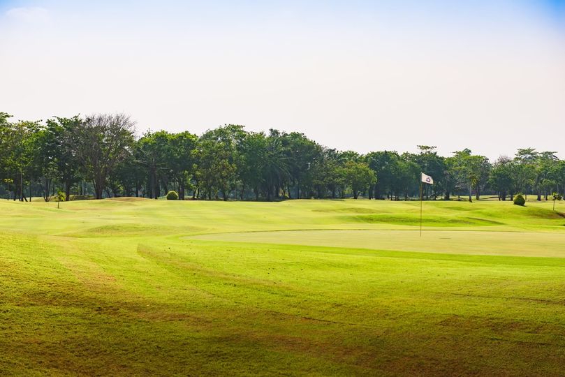 สนามกอล์ฟไดนาสตี้ แอนด์ คันทรีคลับ Dynasty Golf amp Country Club grass golf course and nature สนามกอล์ฟไดนาสตี้ แอนด์ คันทรีคลับ Dynasty Golf amp Country Club grass golf course and nature