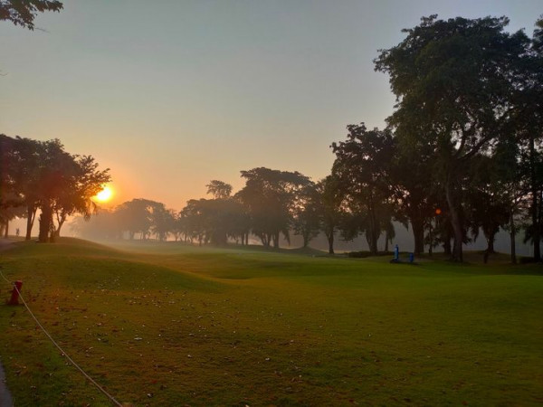 สนามกอล์ฟไดนาสตี้ แอนด์ คันทรีคลับ Dynasty Golf amp Country Club golf course tree nature and grass