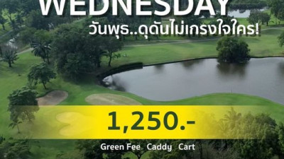 Wednesday Special