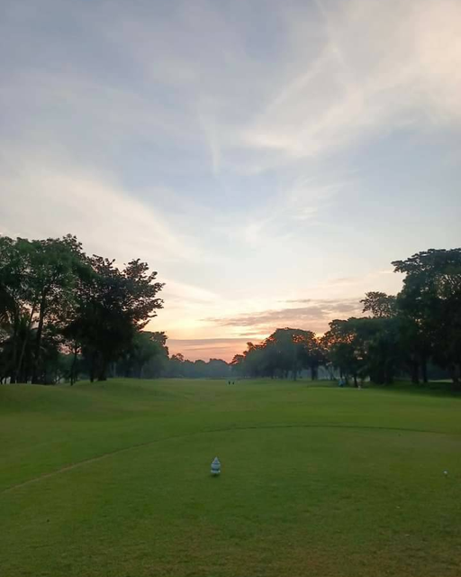 สนามกอล์ฟไดนาสตี้ แอนด์ คันทรีคลับ Dynasty Golf amp Country Club grass and golf course