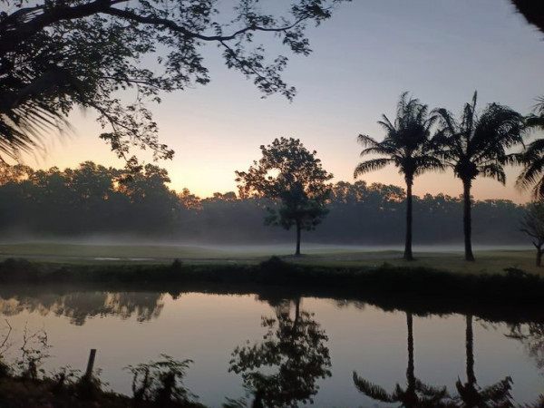 สนามกอล์ฟไดนาสตี้ แอนด์ คันทรีคลับ Dynasty Golf amp Country Club tree sky and nature