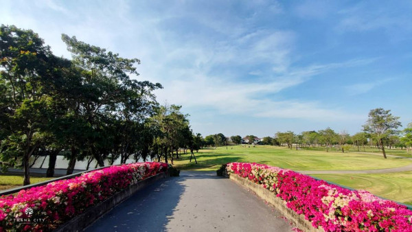 Thana City Country Club flower nature and tree
