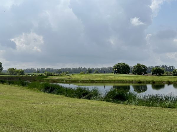 331 Golf Club สนามกอล์ฟ ธรรมชาติ และ พื้นหญ้า
