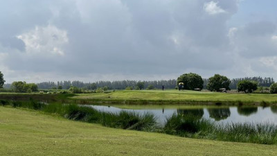 Friday Golfing