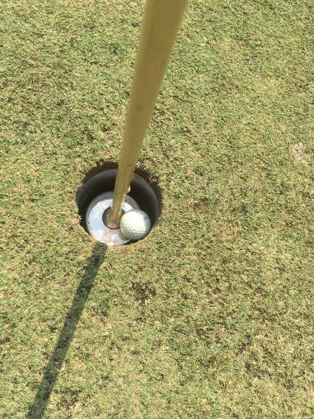 สนามกอล์ฟไดนาสตี้ แอนด์ คันทรีคลับ Dynasty Golf amp Country Club พื้นหญ้า