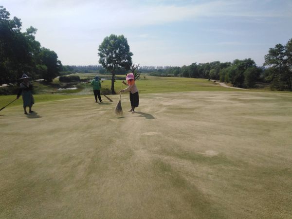 331 Golf Club 3 people golf course and grass