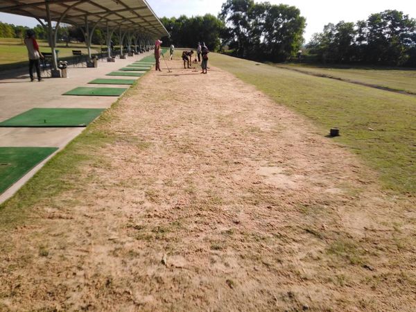 331 Golf Club 4 people and grass