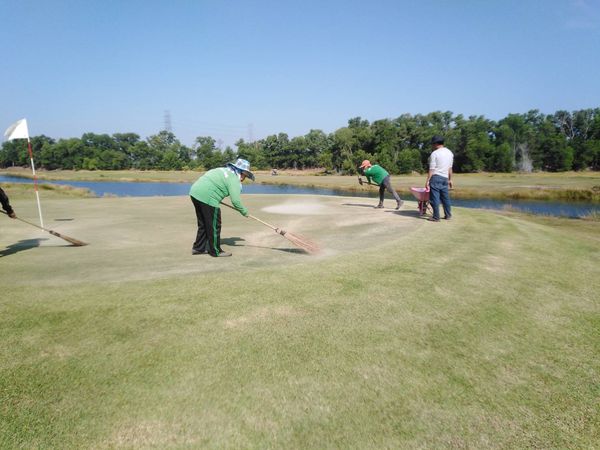 331 Golf Club 4 people people golfing people standing and grass