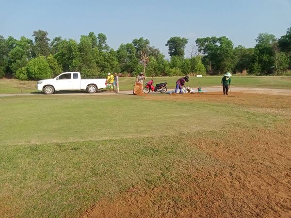 331 Golf Club 7 people people playing sports and grass