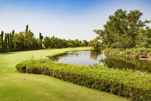 สนามกอล์ฟไดนาสตี้ แอนด์ คันทรีคลับ Dynasty Golf amp Country Club grass golf course nature and tree