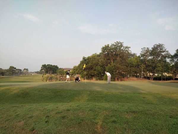 331 Golf Club 3 people golf course and grass