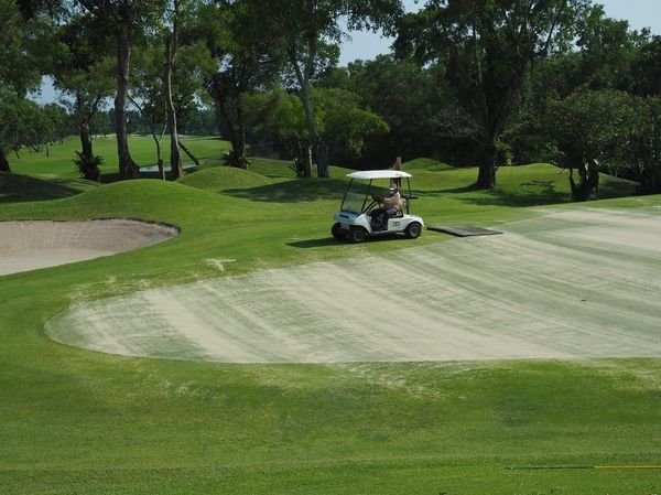 Alpine Golf Club golf course grass and nature