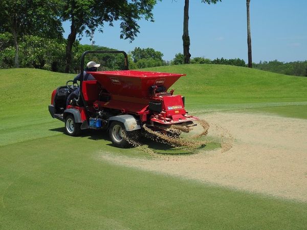 Alpine Golf Club grass-4