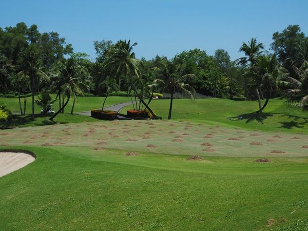 Alpine Golf Club grass and golf course