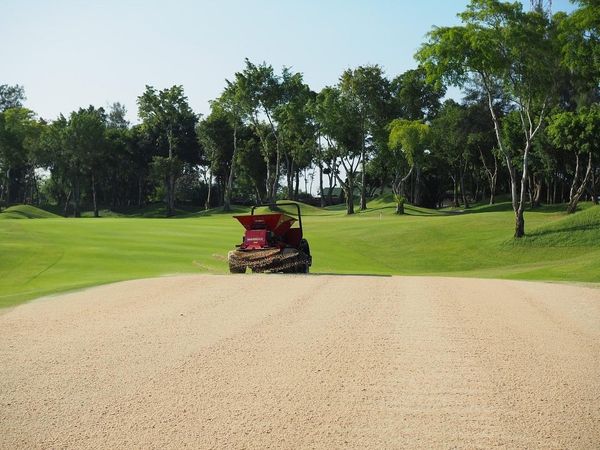 Alpine Golf Club grass
