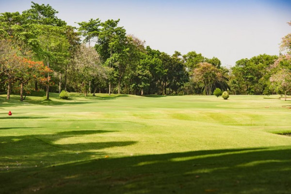 สนามกอล์ฟไดนาสตี้ แอนด์ คันทรีคลับ Dynasty Golf amp Country Club golf golf cart and golf course
