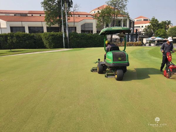 Thana City Country Club 2 people people golfing golf cart grass and golf course