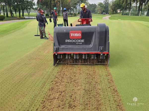 Thana City Country Club 4 people grass golf course and TORO PROCORE 648 THANA CITY