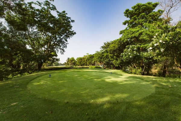 สนามกอล์ฟไดนาสตี้ แอนด์ คันทรีคลับ Dynasty Golf amp Country Club golf grass and golf course