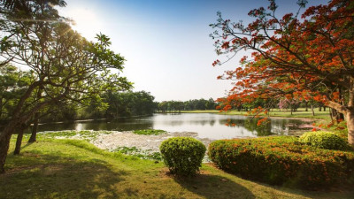 โปรทุกวันพุธ อย่าลืมมาใช้บริการโปรโมชั่นดีดี