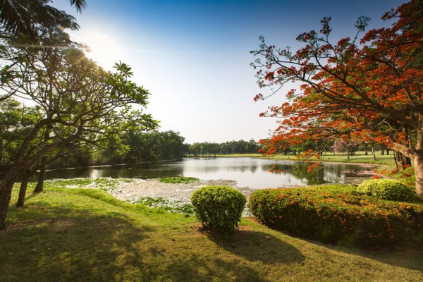 สนามกอล์ฟไดนาสตี้ แอนด์ คันทรีคลับ Dynasty Golf amp Country Club lake golf course nature and grass