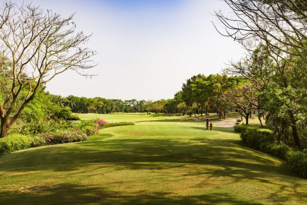 สนามกอล์ฟไดนาสตี้ แอนด์ คันทรีคลับ Dynasty Golf amp Country Club golf golf cart golf course and grass