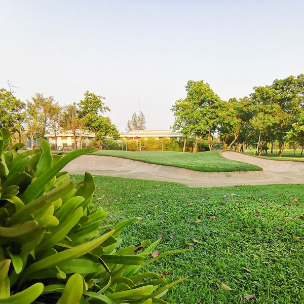 Thana City Country Club golf grass and golf course