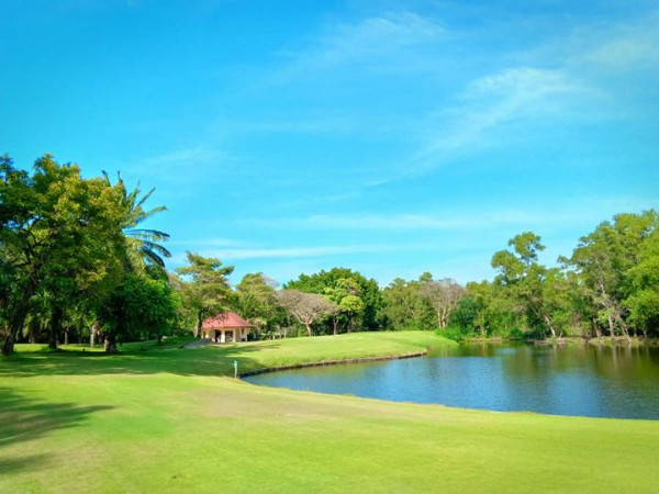 สนามกอล์ฟไดนาสตี้ แอนด์ คันทรีคลับ Dynasty Golf amp Country Club golf golf cart and golf course