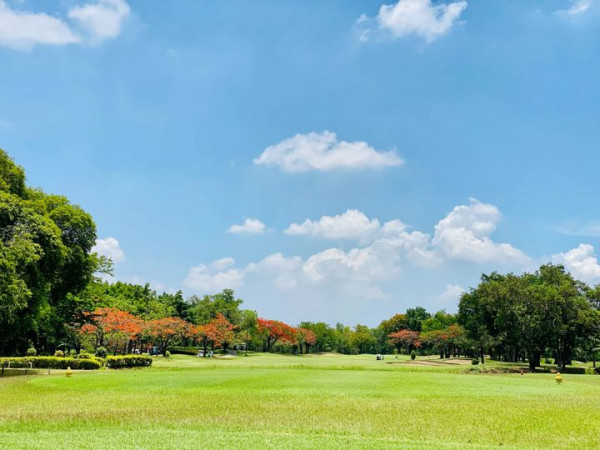 สนามกอล์ฟไดนาสตี้ แอนด์ คันทรีคลับ Dynasty Golf amp Country Club grass golf course tree and cloud