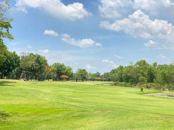 สนามกอล์ฟไดนาสตี้ แอนด์ คันทรีคลับ Dynasty Golf amp Country Club tree golf course and grass
