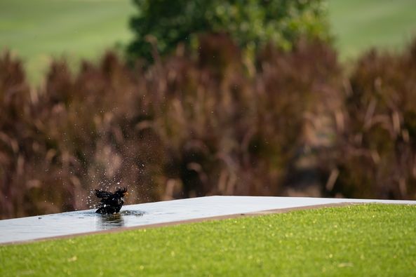 Nikanti Golf Club Nakhon Pathom golf and golf course