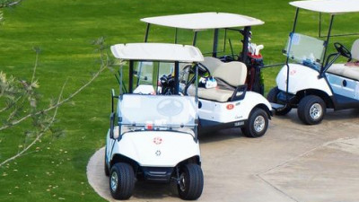 Here for the foursome!