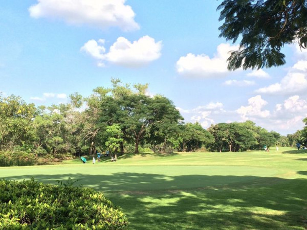 สนามกอล์ฟไดนาสตี้ แอนด์ คันทรีคลับ Dynasty Golf amp Country Club 2 people people golfing golf cart grass golf course and tree