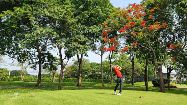 Thana City Country Club 1 person golfing and tree