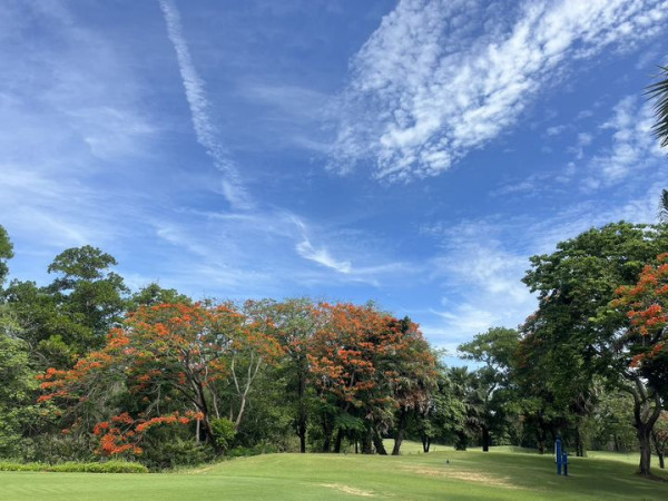 สนามกอล์ฟไดนาสตี้ แอนด์ คันทรีคลับ Dynasty Golf amp Country Club